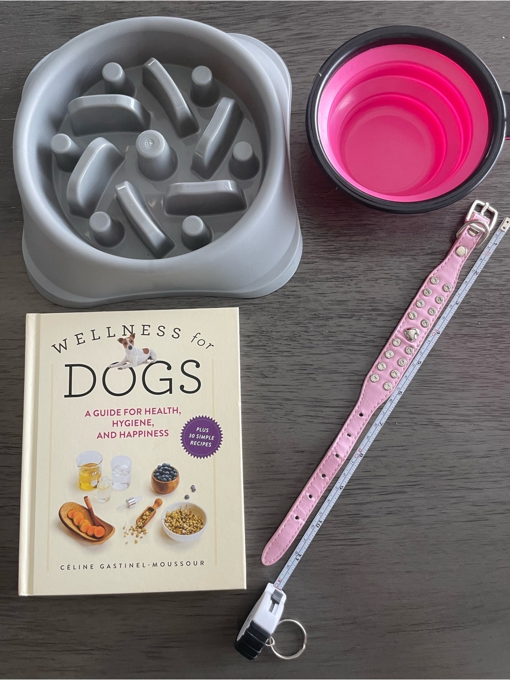 New Dog or Puppy Bundle!! 🦮🐾